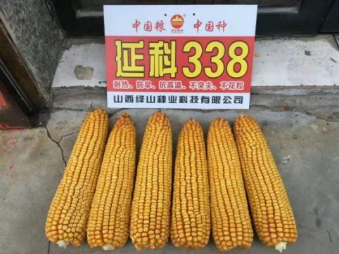 微信圖片_201912251055536(1)(1)(1).jpg 微信圖片_201912251055536(1)(1)(1).jpg