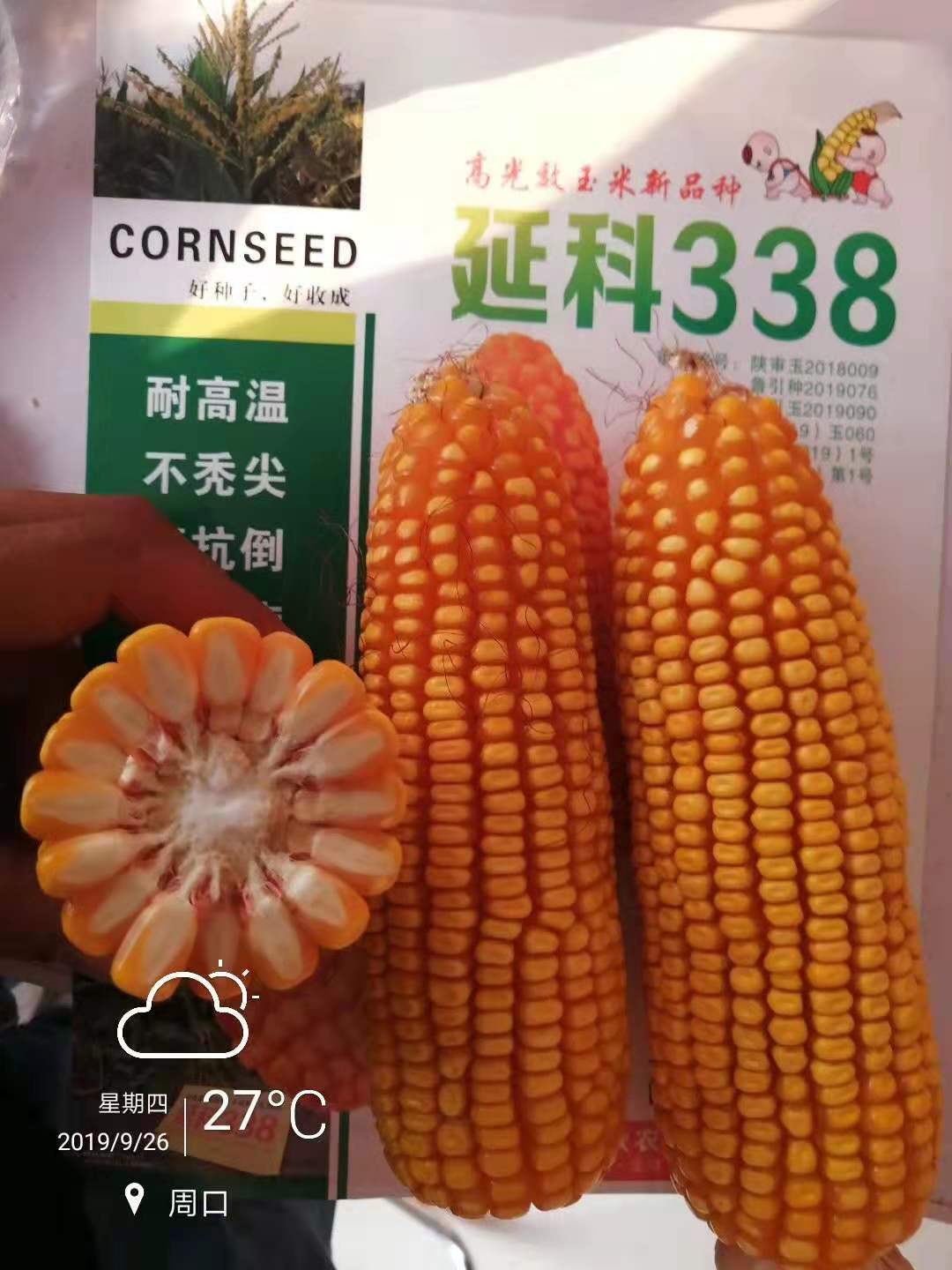 微信圖片_201912251055531.jpg 微信圖片_201912251055531.jpg