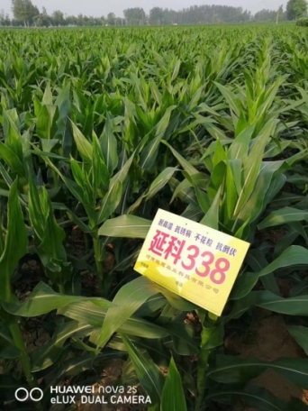 微信圖片_201912251633078(1)(1)(1).jpg 微信圖片_201912251633078(1)(1)(1).jpg