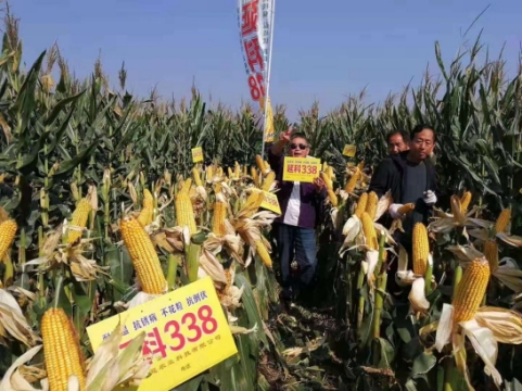 微信圖片_201912251055534(1)(1).jpg 微信圖片_201912251055534(1)(1).jpg