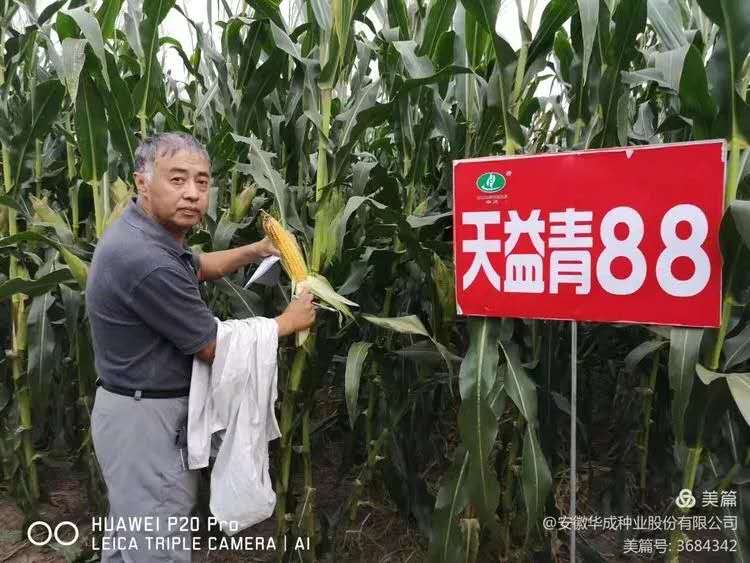 8076593fa02c02b99d4df1f5386d580.jpg 8076593fa02c02b99d4df1f5386d580.jpg