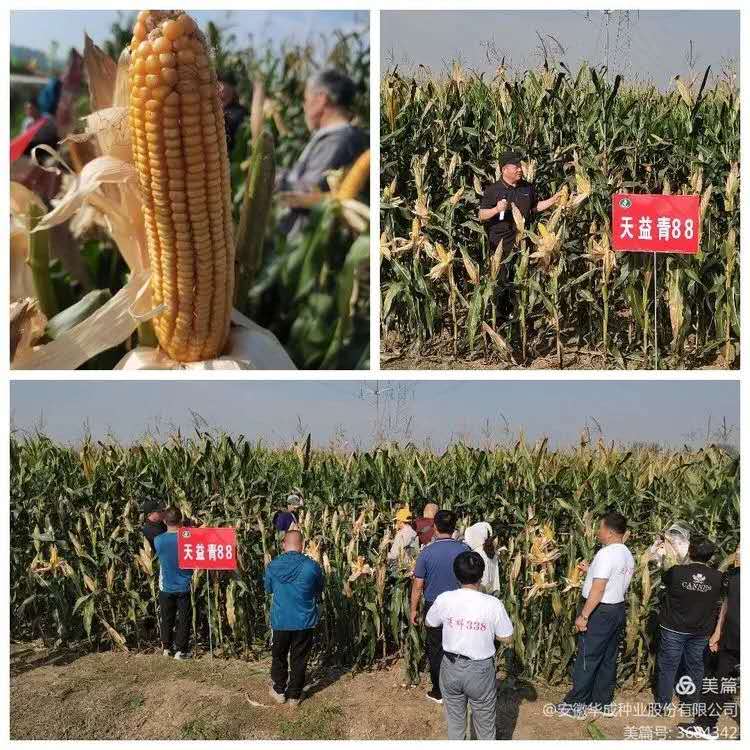 67503a677c793fa5886fd9bd98bb647.jpg 67503a677c793fa5886fd9bd98bb647.jpg