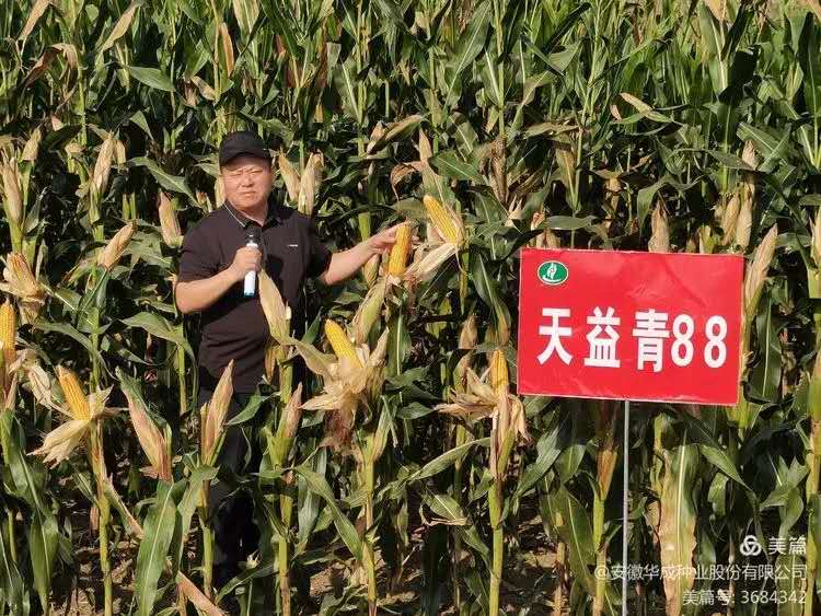 6fc13ea2c2d148cb155626c1400deb0.jpg 6fc13ea2c2d148cb155626c1400deb0.jpg