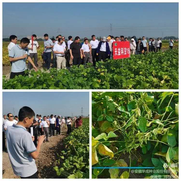 e880ff10cbc87b49ae87547eb9ab57b.jpg e880ff10cbc87b49ae87547eb9ab57b.jpg