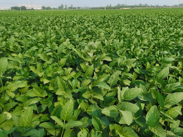 微信圖片_20201014104942.jpg 微信圖片_20201014104942.jpg