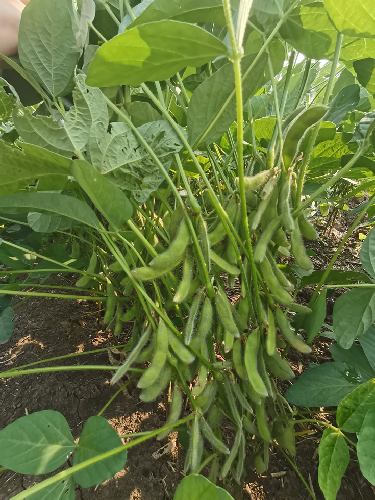 微信圖片_20201014104934.jpg 微信圖片_20201014104934.jpg